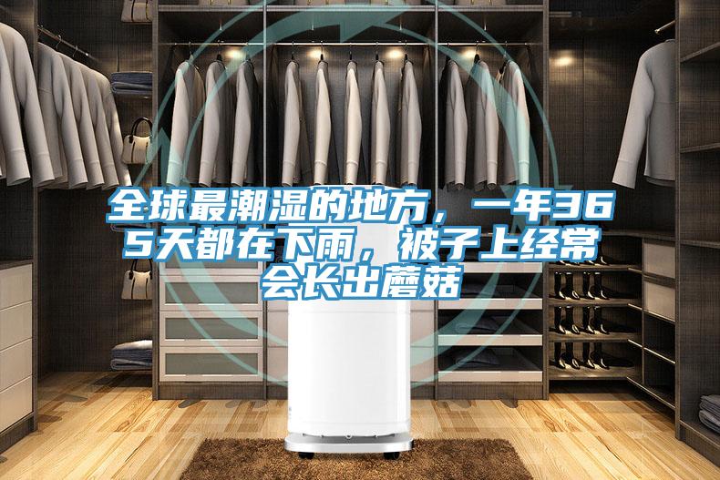 全球最潮濕的地方，一年365天都在下雨，被子上經(jīng)常會(huì)長(zhǎng)出蘑菇