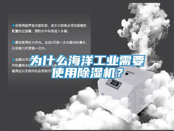 為什么海洋工業(yè)需要使用除濕機？