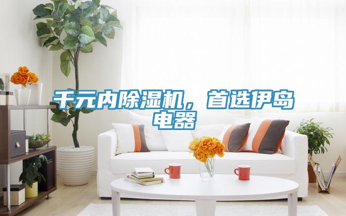 千元內(nèi)除濕機(jī),首選伊島電器