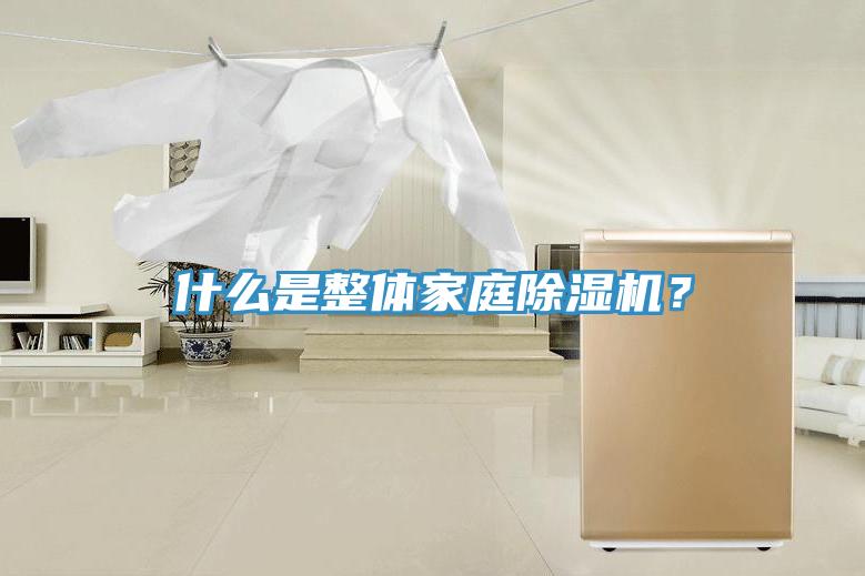 什么是整體家庭除濕機？