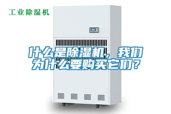 什么是除濕機，我們?yōu)槭裁匆徺I它們？