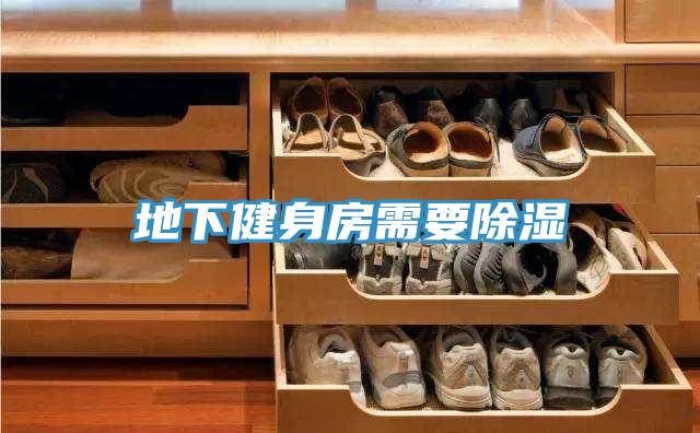 地下健身房需要除濕