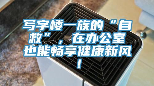 寫(xiě)字樓一族的“自救”，在辦公室也能暢享健康新風(fēng)！